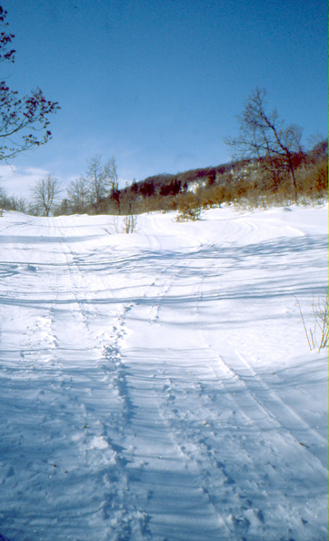 Image:Ski20.jpg