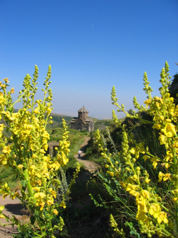 Image:Paysage02.jpg