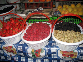 Image:Geo-fruits001.jpg