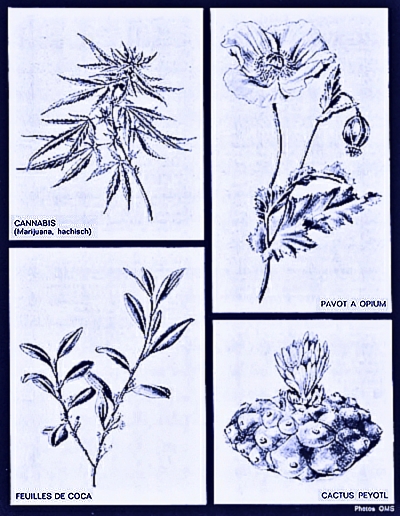 les drogues dites classiques
