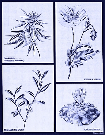 les drogues dites classiques