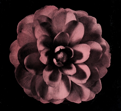 30-11-19art.jpg