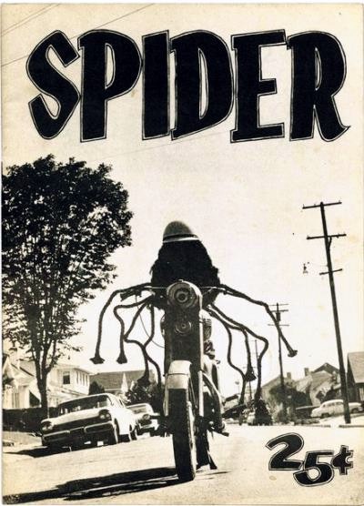 spider.jpg