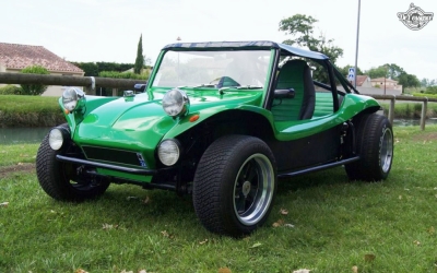 Buggy04.jpg