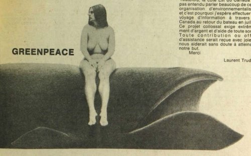 greenpeace.jpg