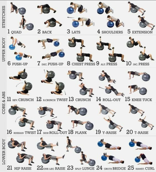 gymball01.jpg