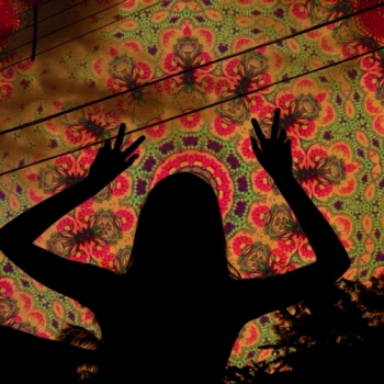 LSD260.jpg