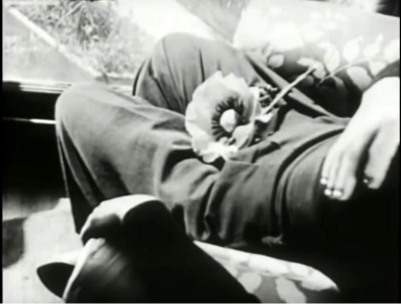 MD03.jpg