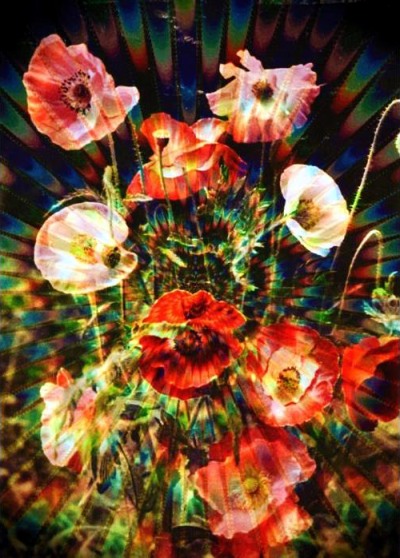 psyflower.jpg