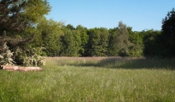 vincennes023.jpg