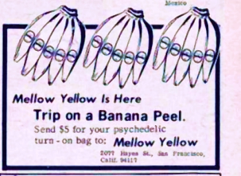 yellowmel1.jpg