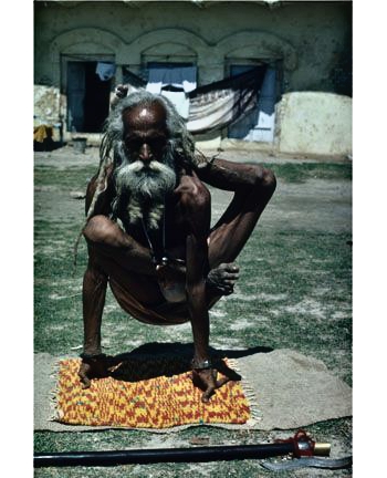 yogi.jpg