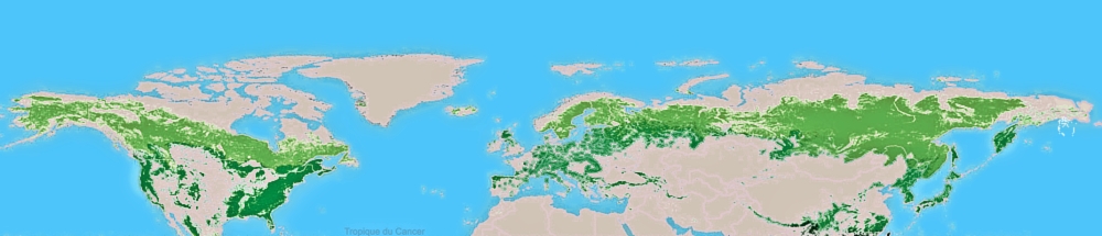 Répartition des forêts dans l'hémisphère nord