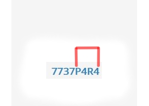 para.jpg